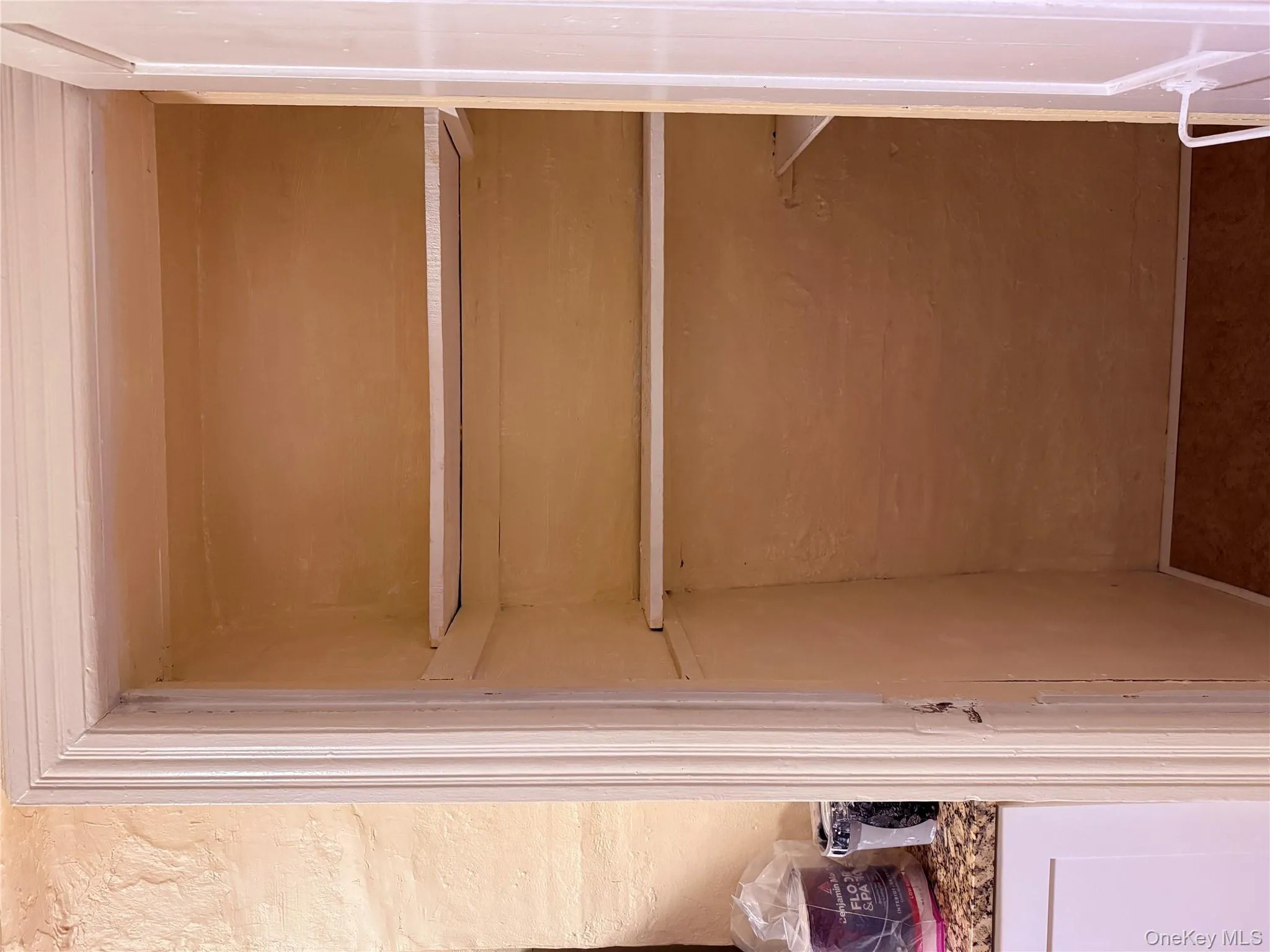 Separate pantry closet Separate pantry closet