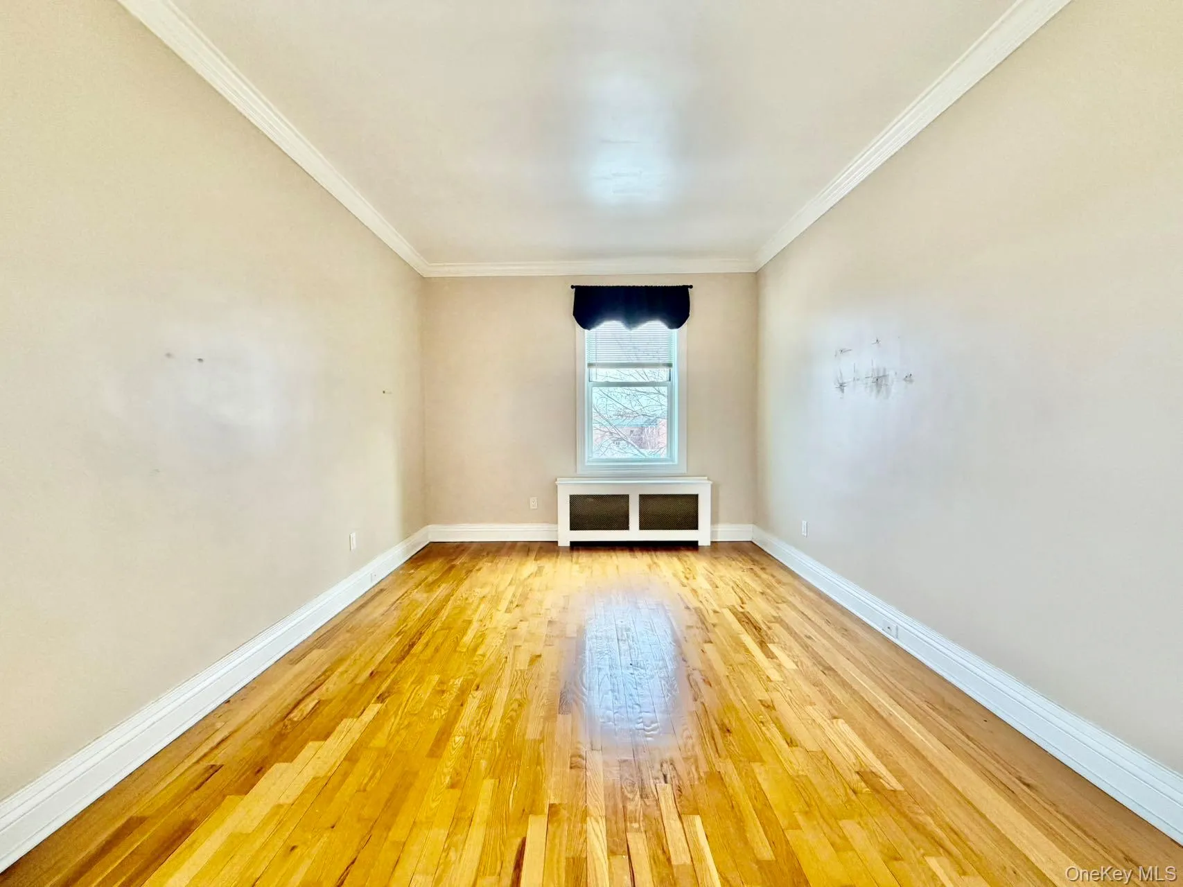 Empty room featuring light wood-type flooring, radiator, and ornamental molding Empty room featuring light wood-type flooring, radiator, and ornamental molding