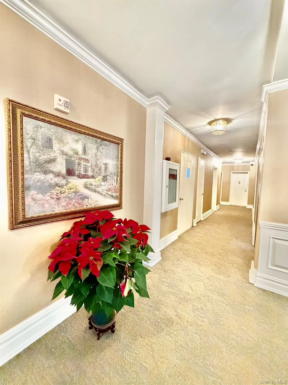 Corridor featuring carpet floors and crown molding Corridor featuring carpet floors and crown molding
