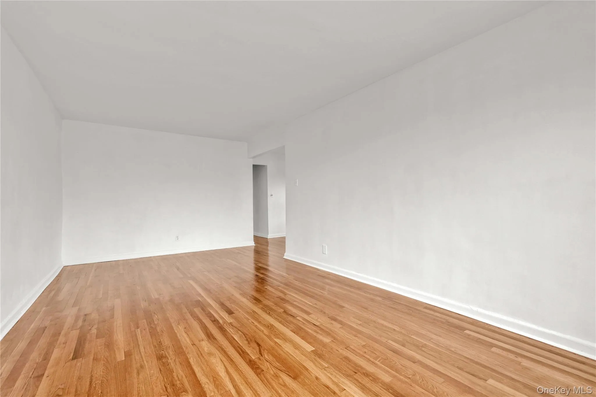 Empty room featuring light wood finished floors and baseboards Empty room featuring light wood finished floors and baseboards