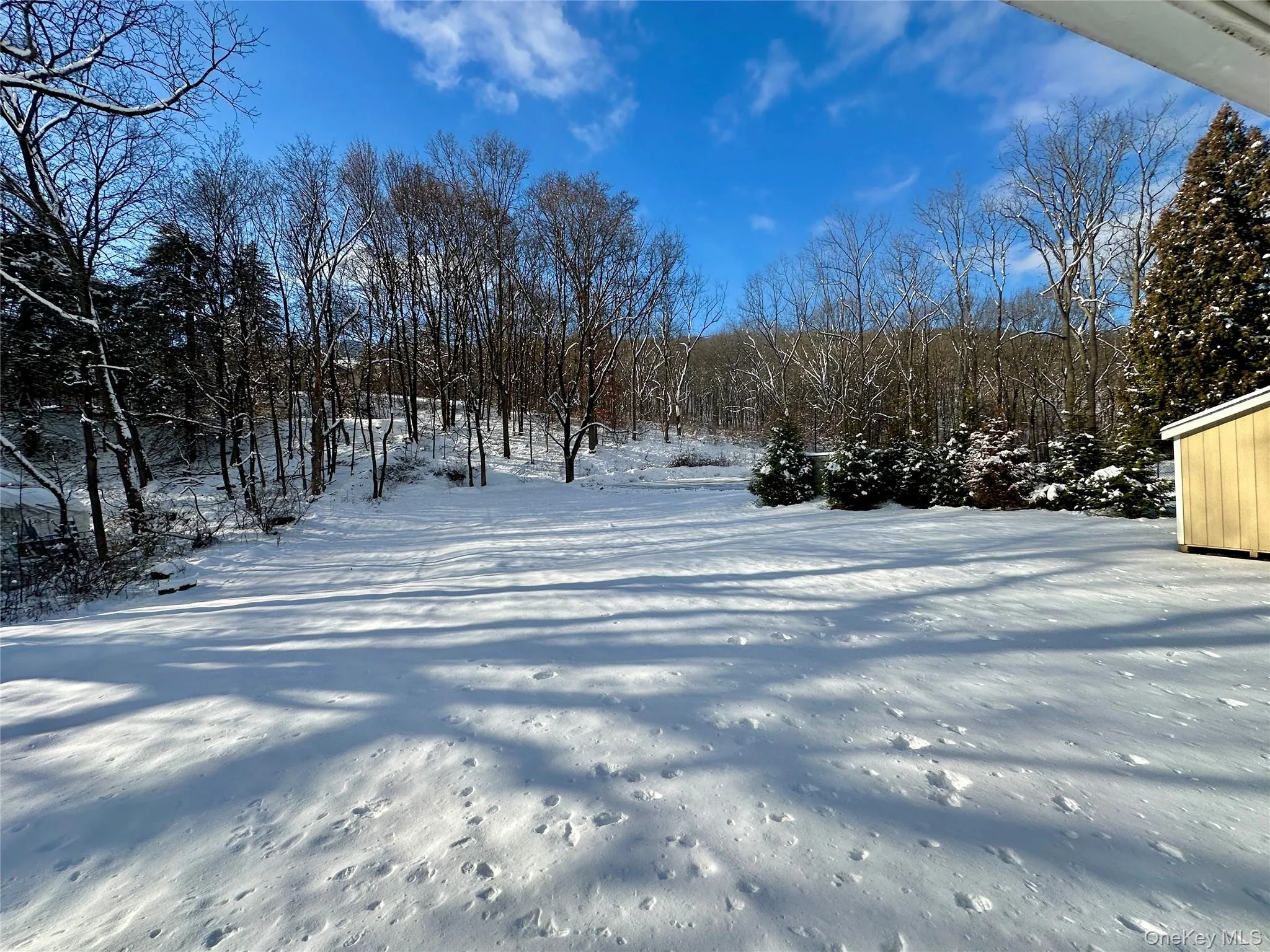 View of yard covered in snow View of yard covered in snow