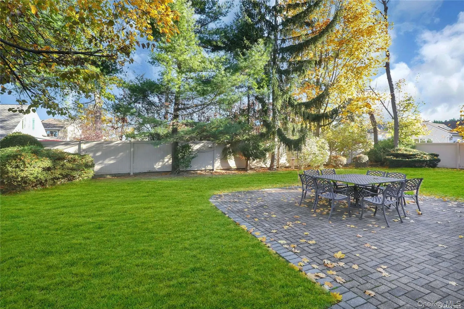 View of yard featuring a patio View of yard featuring a patio