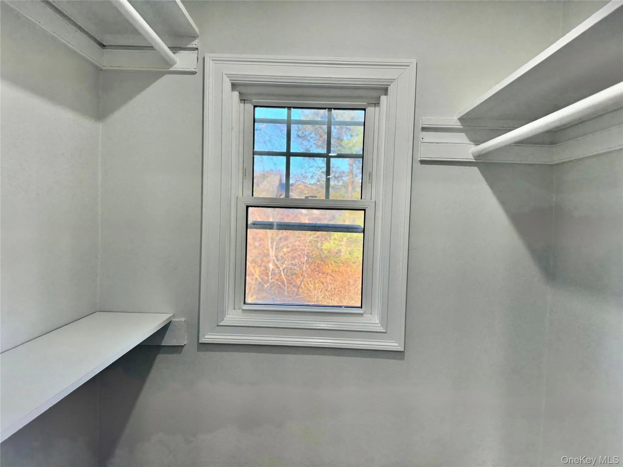 View of walk in closet View of walk in closet