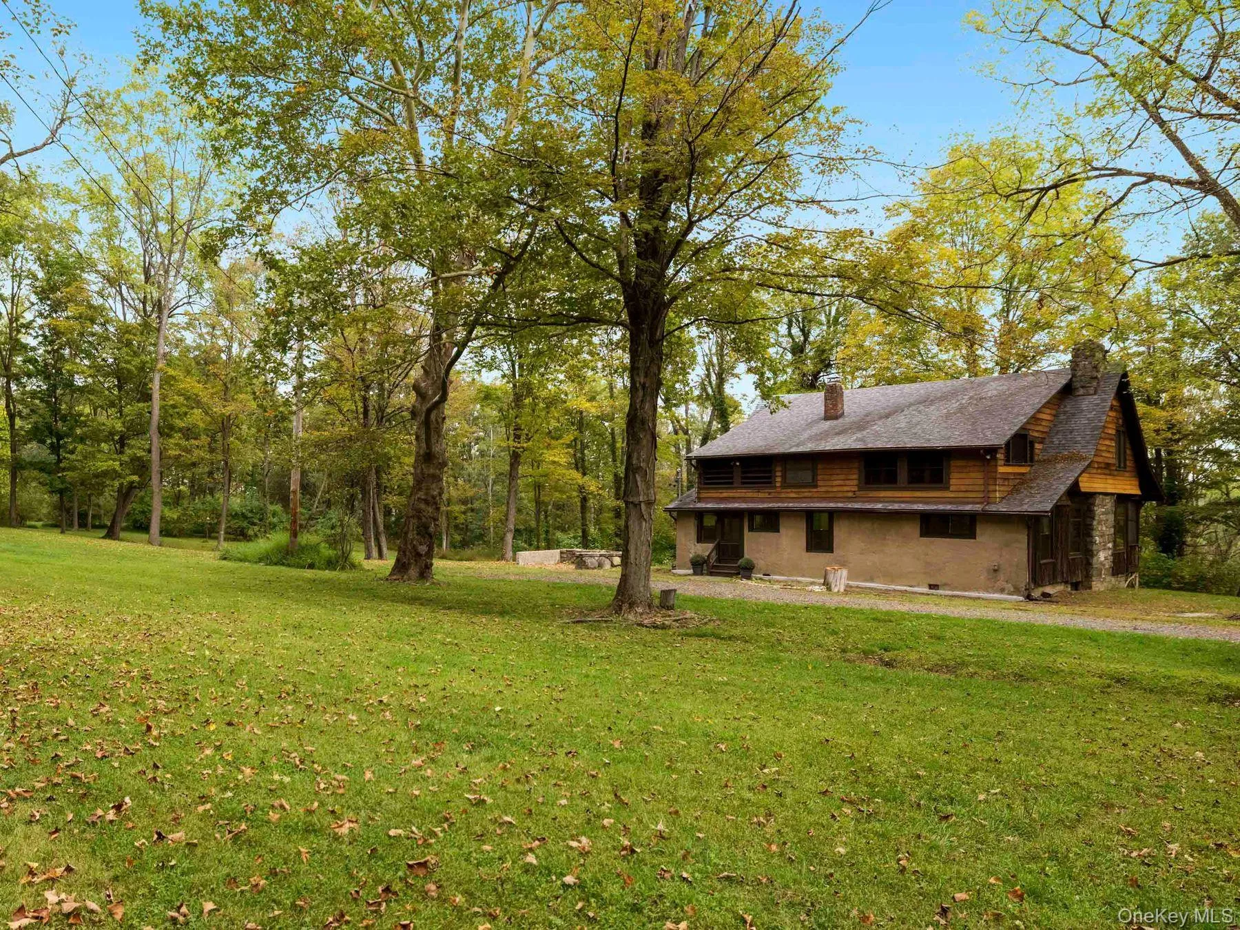 View of green lawn View of green lawn
