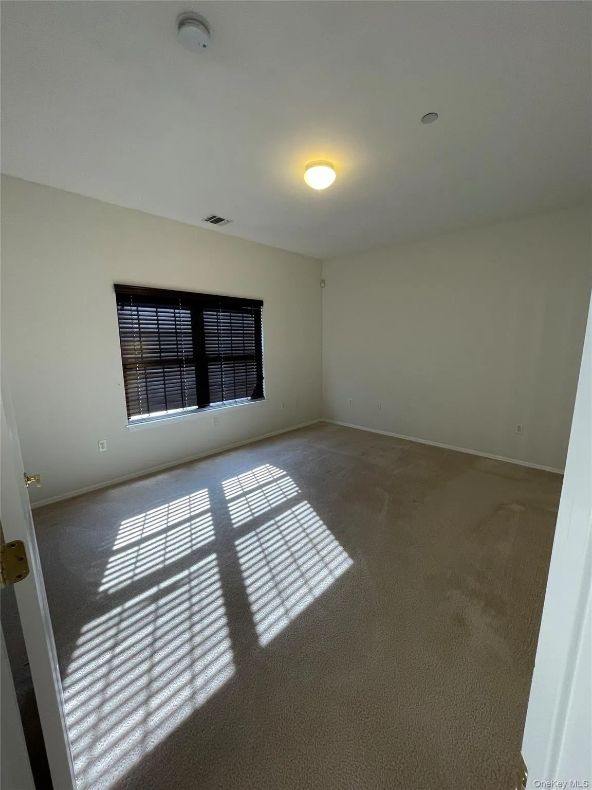 Carpeted spare room with baseboards Carpeted spare room with baseboards