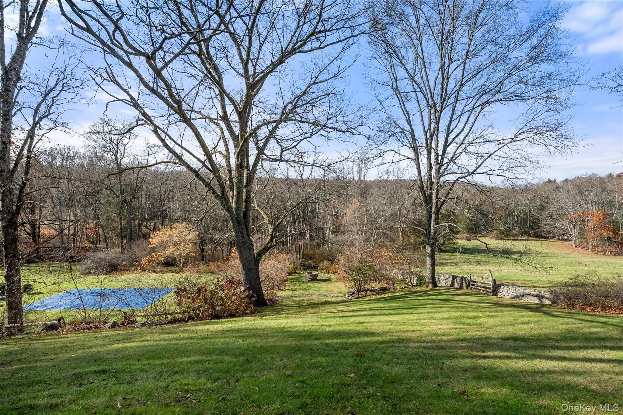 View of green lawn featuring a view of trees and pool View of green lawn featuring a view of trees and pool