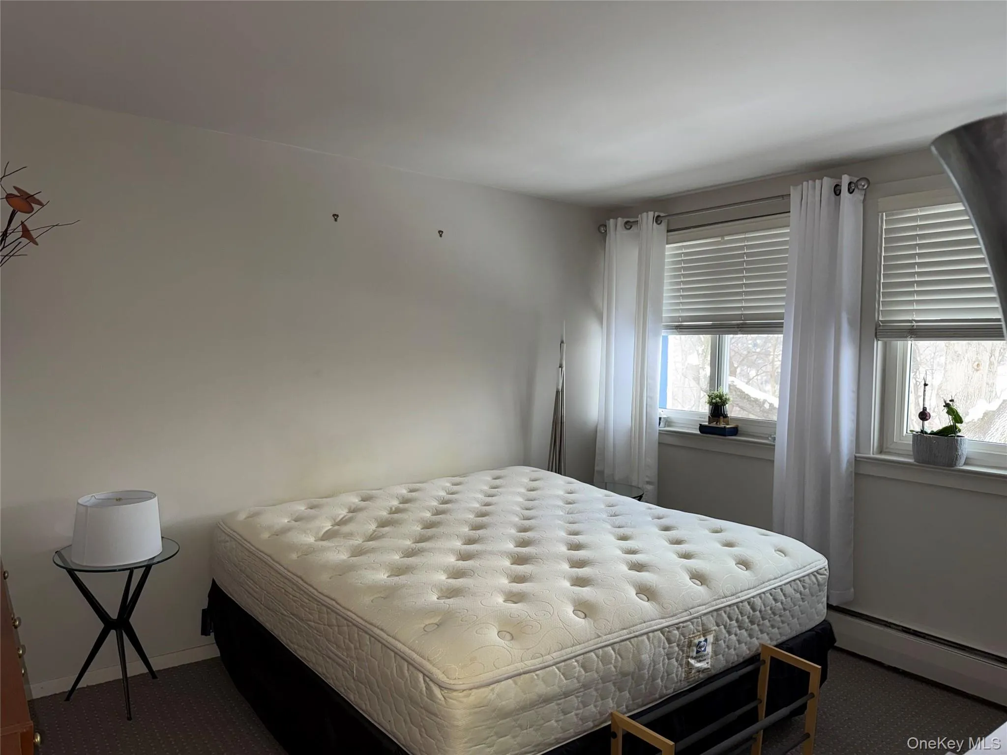 Carpeted bedroom with a baseboard heating unit and baseboards Carpeted bedroom with a baseboard heating unit and baseboards