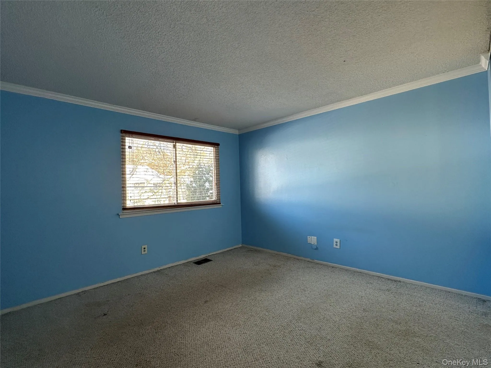 216 Springmeadow Drive, Islip, NY, 2 Bedrooms Bedrooms, 5 Rooms Rooms,1 BathroomBathrooms,Residential Lease,Idx,Springmeadow,0,944421 216 Springmeadow Drive, Islip, NY, 2 Bedrooms Bedrooms, 5 Rooms Rooms,1 BathroomBathrooms,Residential Lease,Idx,Springmeadow,0,944421