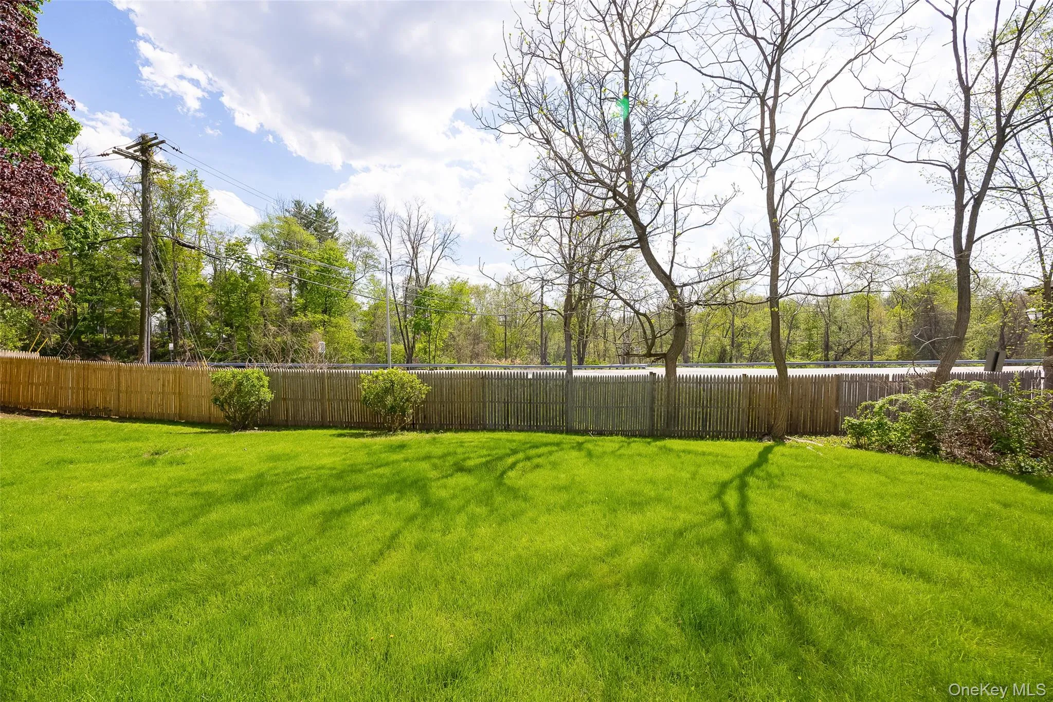 Big backyard Big backyard