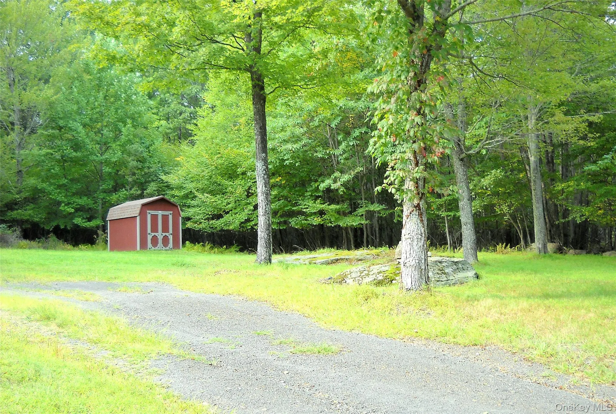 View of gravel driveway and yard View of gravel driveway and yard