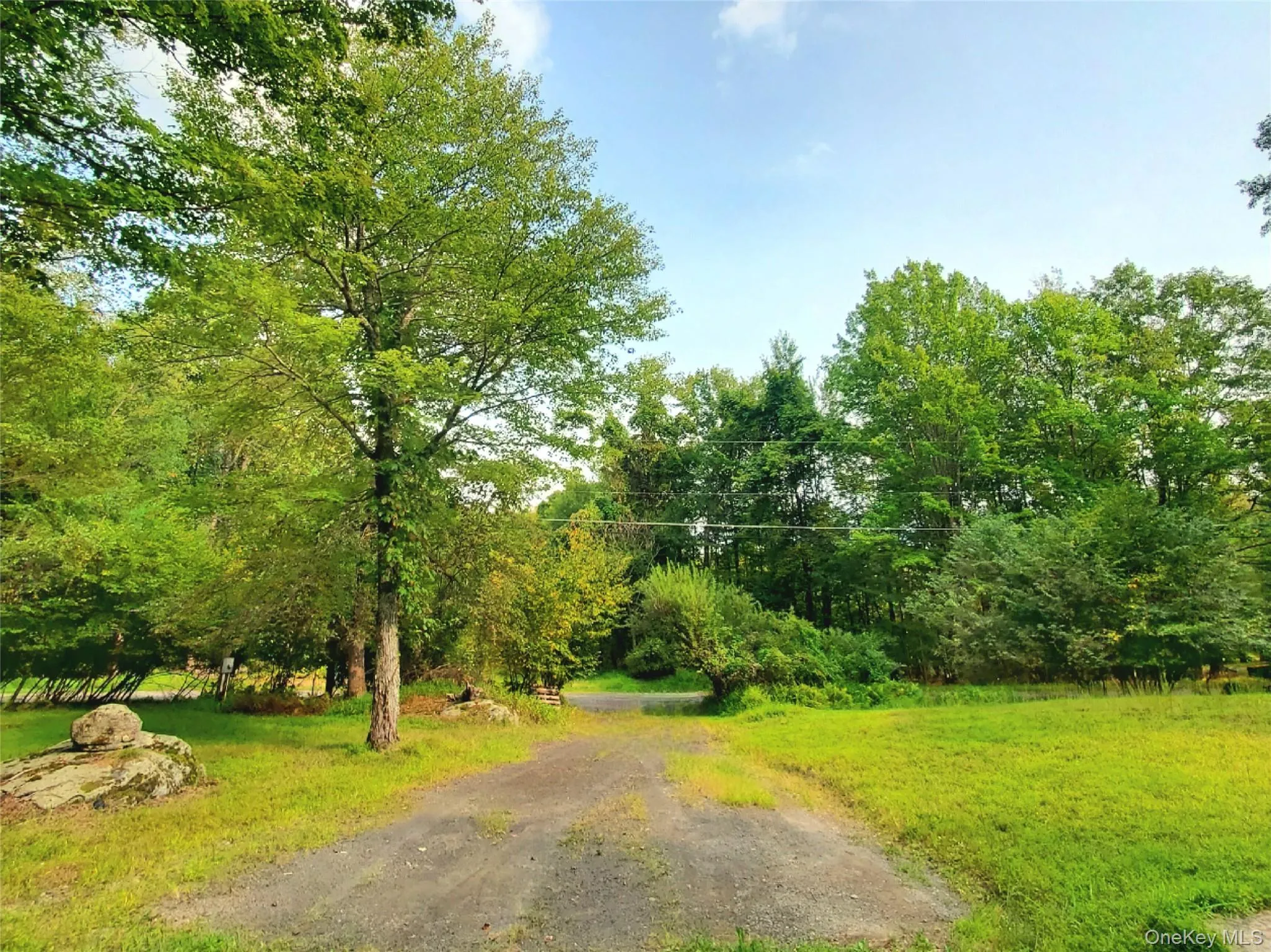 Driveway Driveway