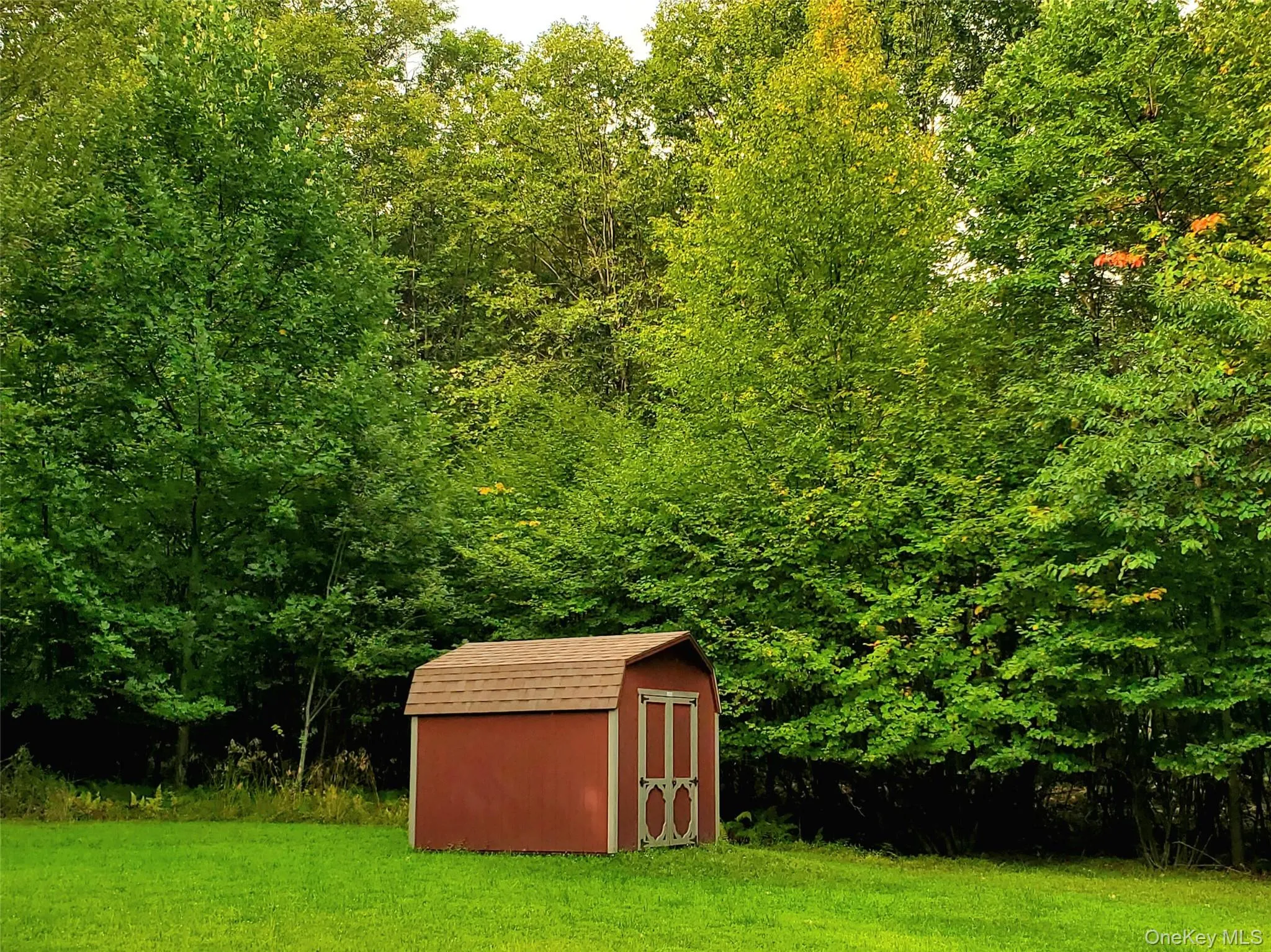 View of grassy yard featuring a storage shed and a view of trees View of grassy yard featuring a storage shed and a view of trees