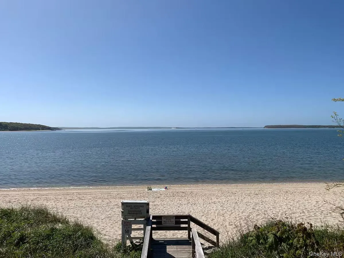 local beach local beach