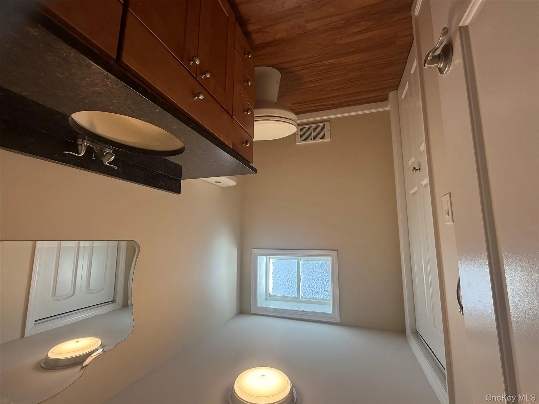 Bathroom featuring dark wood-style floors and vanity Bathroom featuring dark wood-style floors and vanity