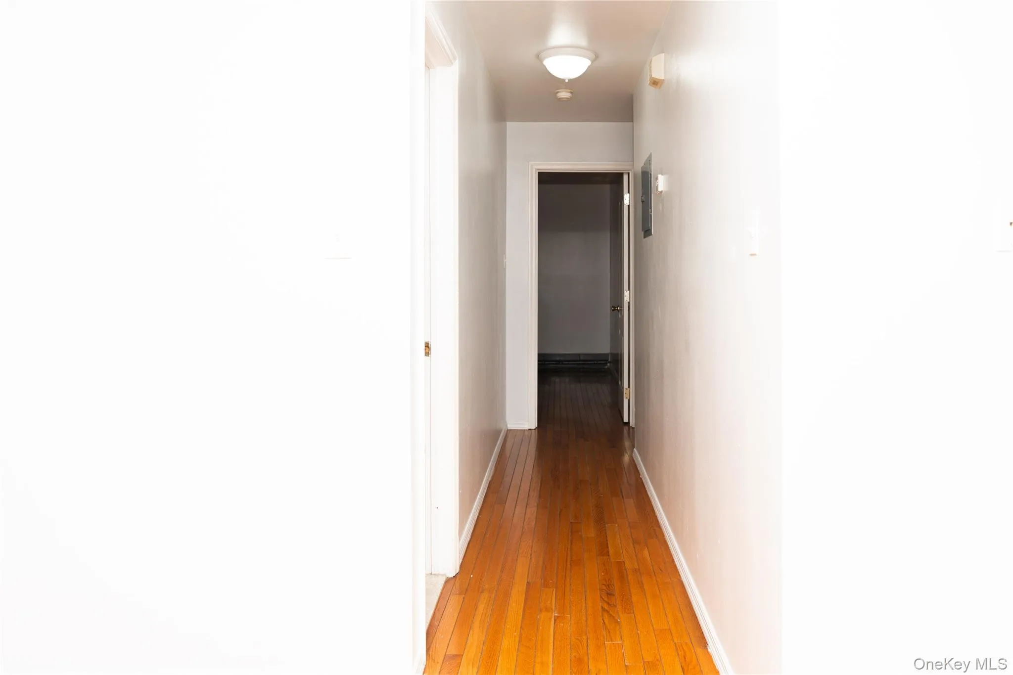 Hallway with baseboards and hardwood / wood-style floors Hallway with baseboards and hardwood / wood-style floors