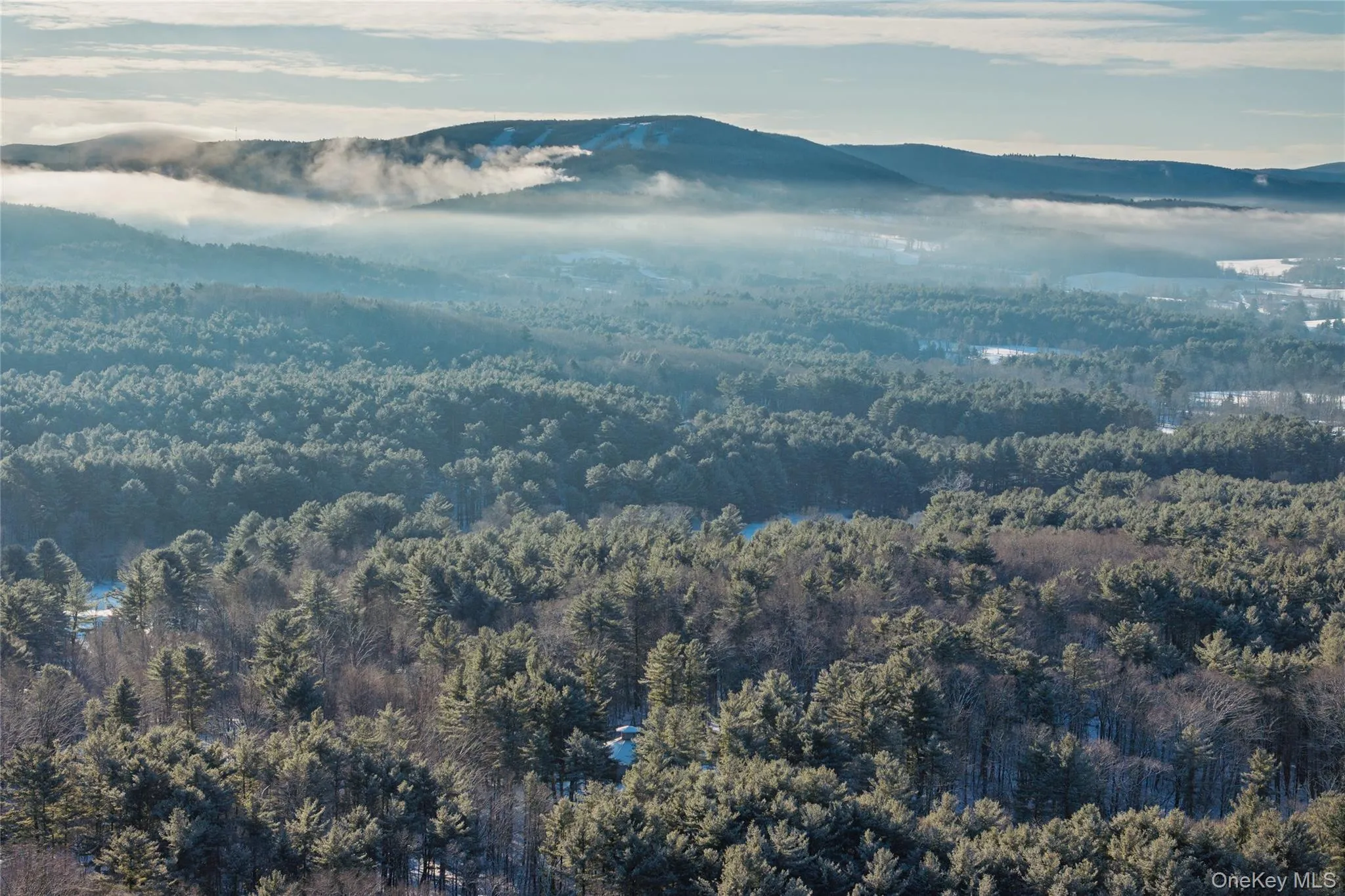 Aerial view of property's location with a mountainous background and a forest Aerial view of property's location with a mountainous background and a forest