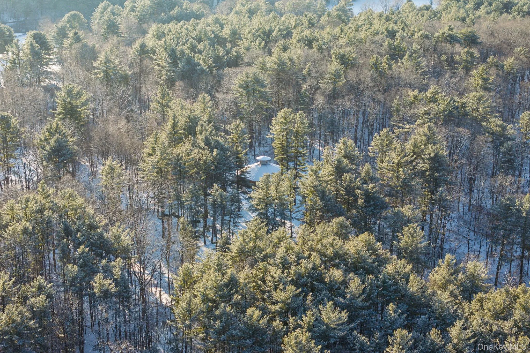 Aerial view of property's location with a heavily wooded area Aerial view of property's location with a heavily wooded area