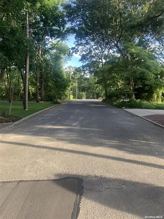 View of asphalt road with view of scattered trees and curbs View of asphalt road with view of scattered trees and curbs