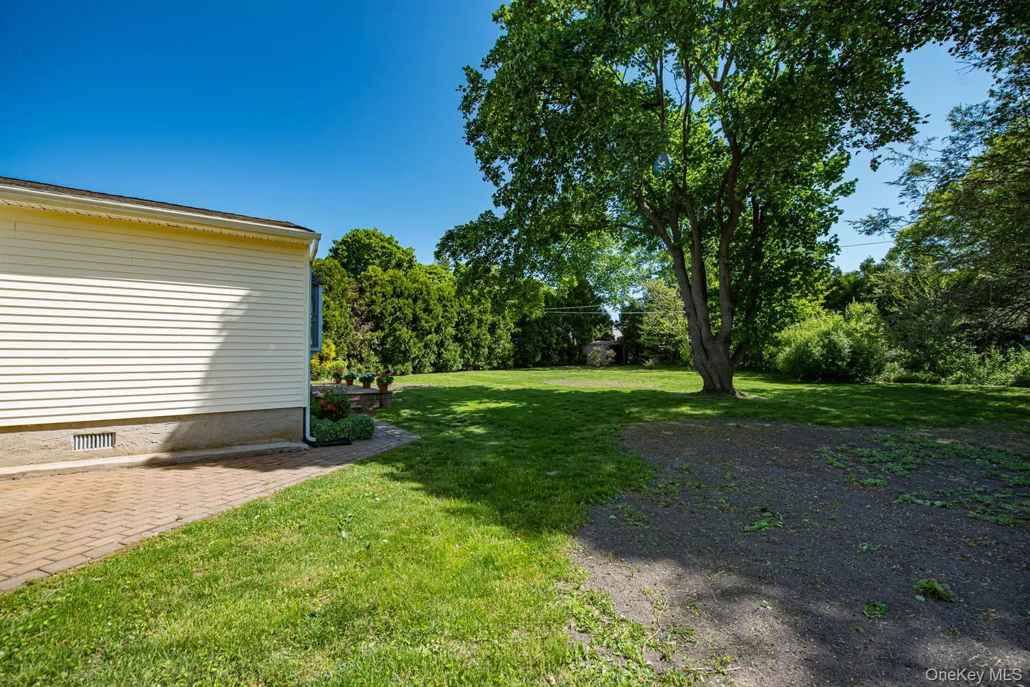 View of green lawn View of green lawn