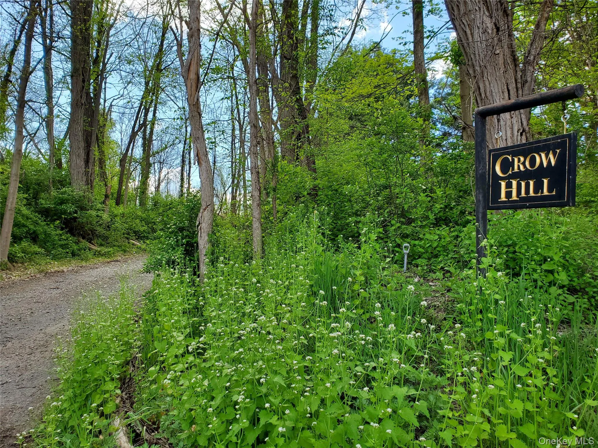 17 Crow Hill Lane, Rhinebeck, NY, ,Land,For Rent,Crow Hill,0,944764 17 Crow Hill Lane, Rhinebeck, NY, ,Land,For Rent,Crow Hill,0,944764