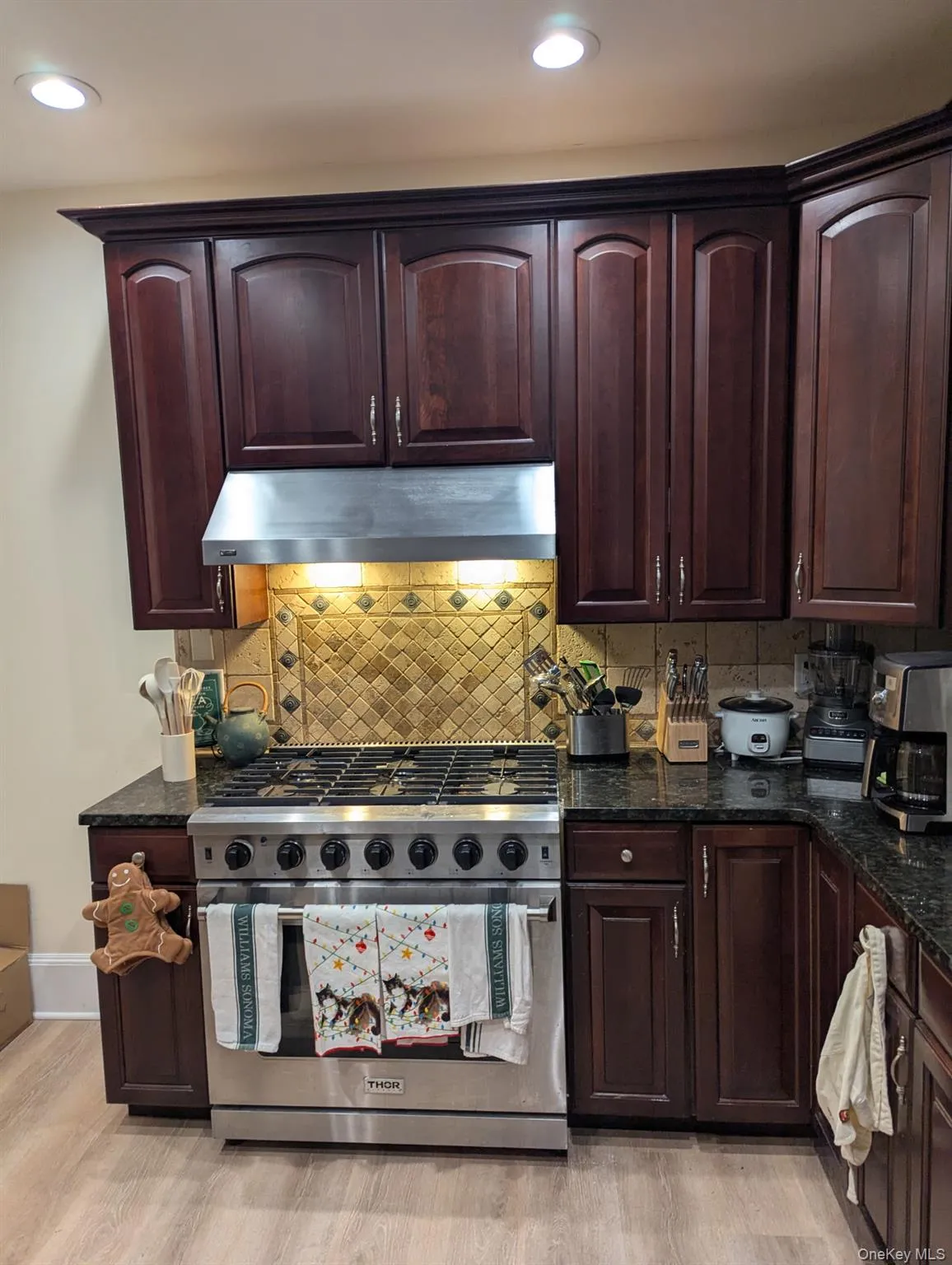 Kitchen featuring stainless steel range, dark brown cabinetry, dark stone countertops, under cabinet range hood, and recessed lighting Kitchen featuring stainless steel range, dark brown cabinetry, dark stone countertops, under cabinet range hood, and recessed lighting