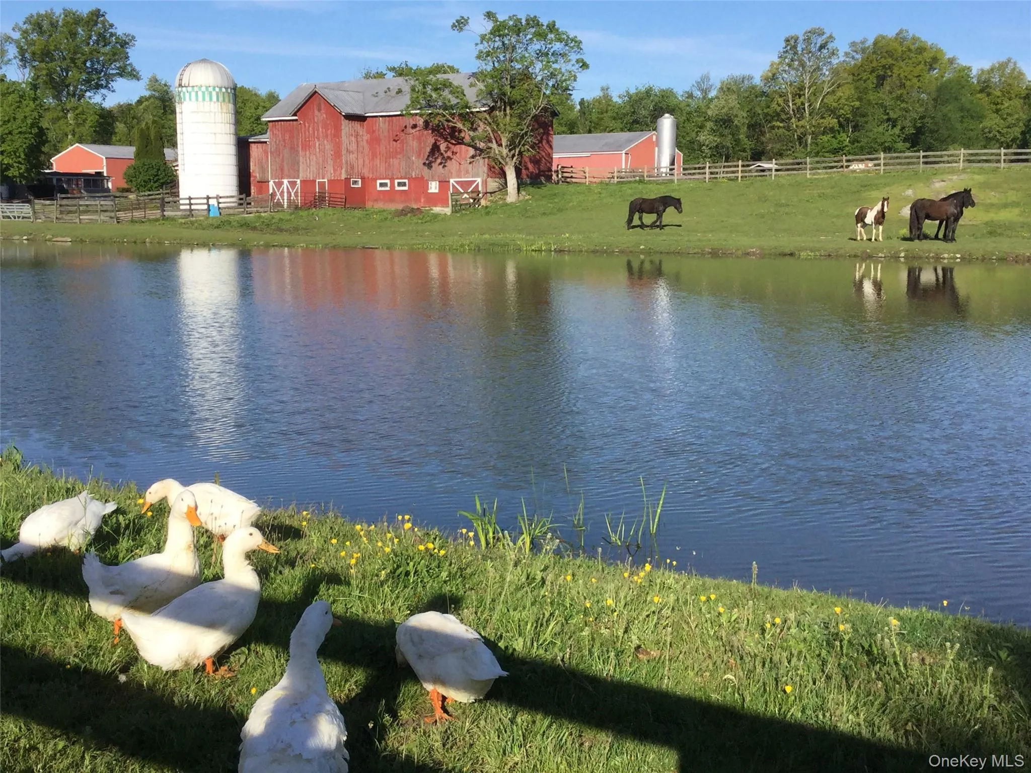 Water view featuring a barn and rural landscape Water view featuring a barn and rural landscape