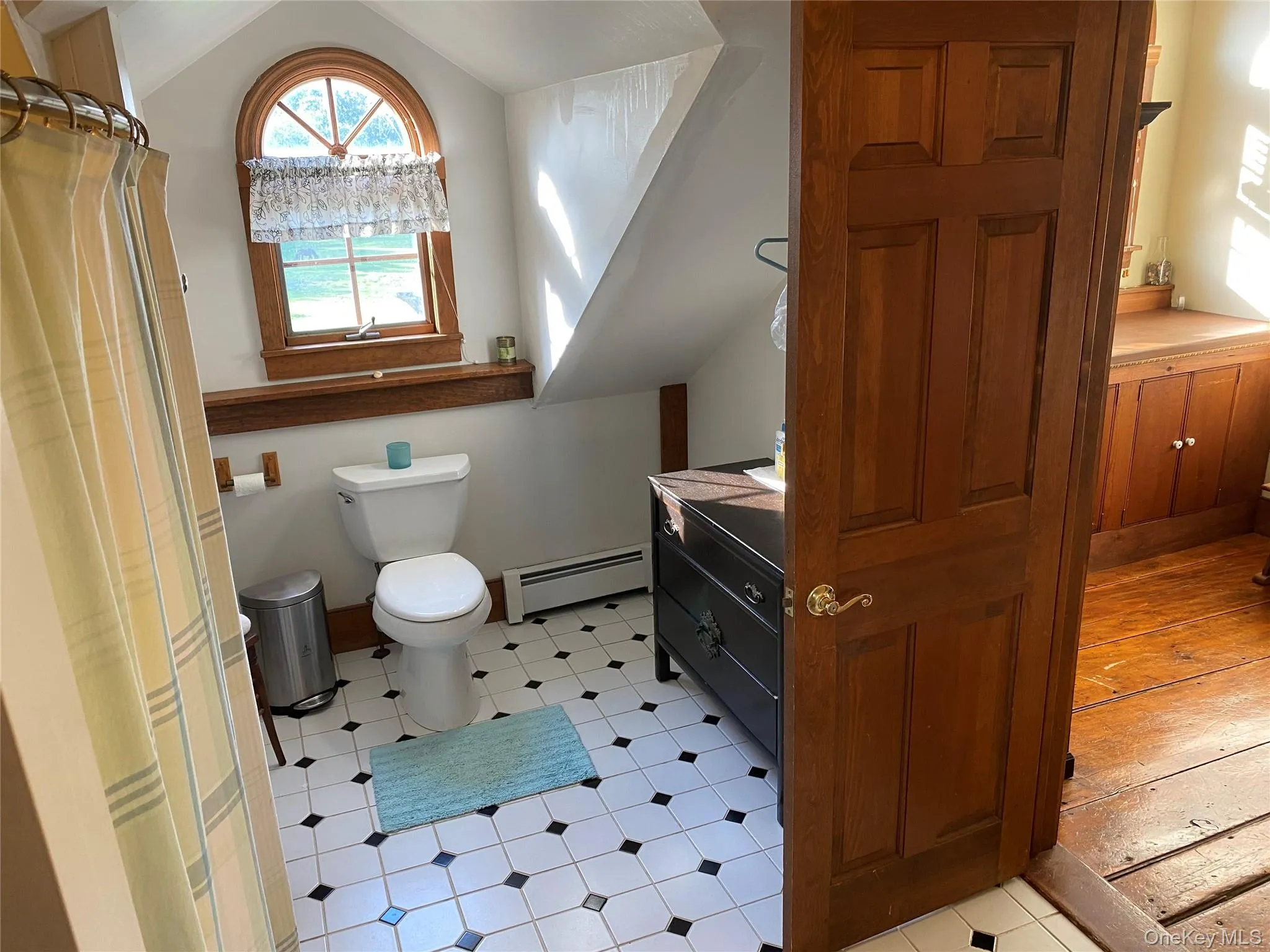 Bathroom with baseboard heating, vanity, a shower with curtain, and vaulted ceiling Bathroom with baseboard heating, vanity, a shower with curtain, and vaulted ceiling