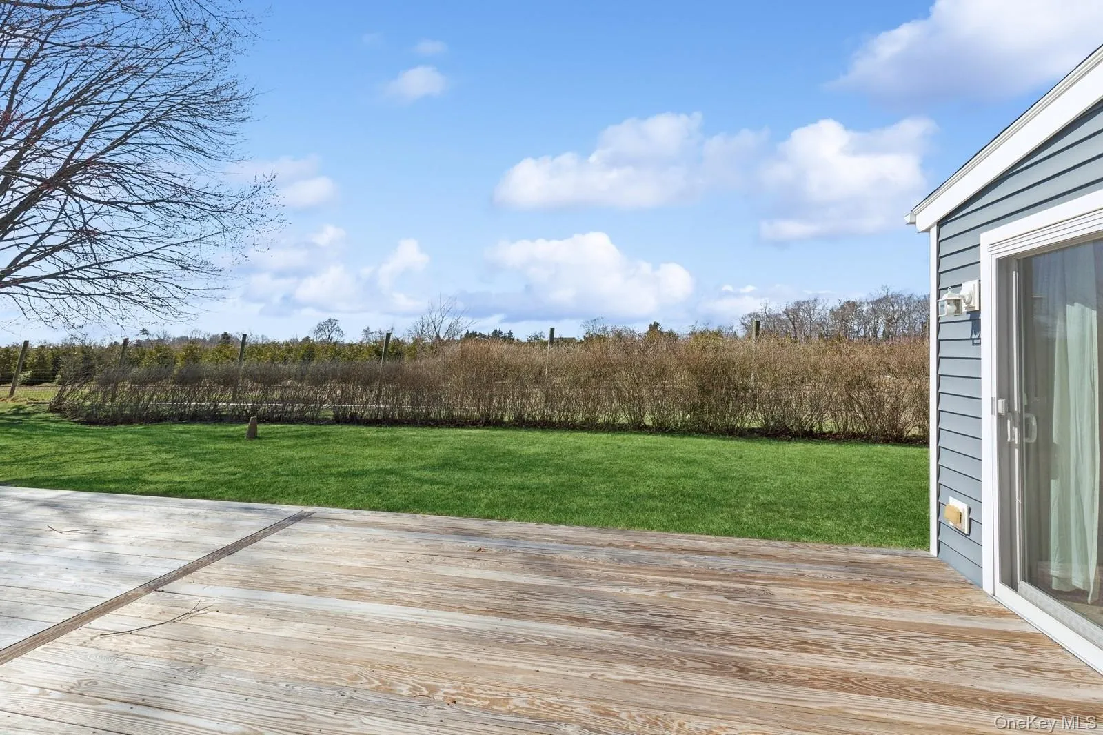 Deck with a yard Deck with a yard