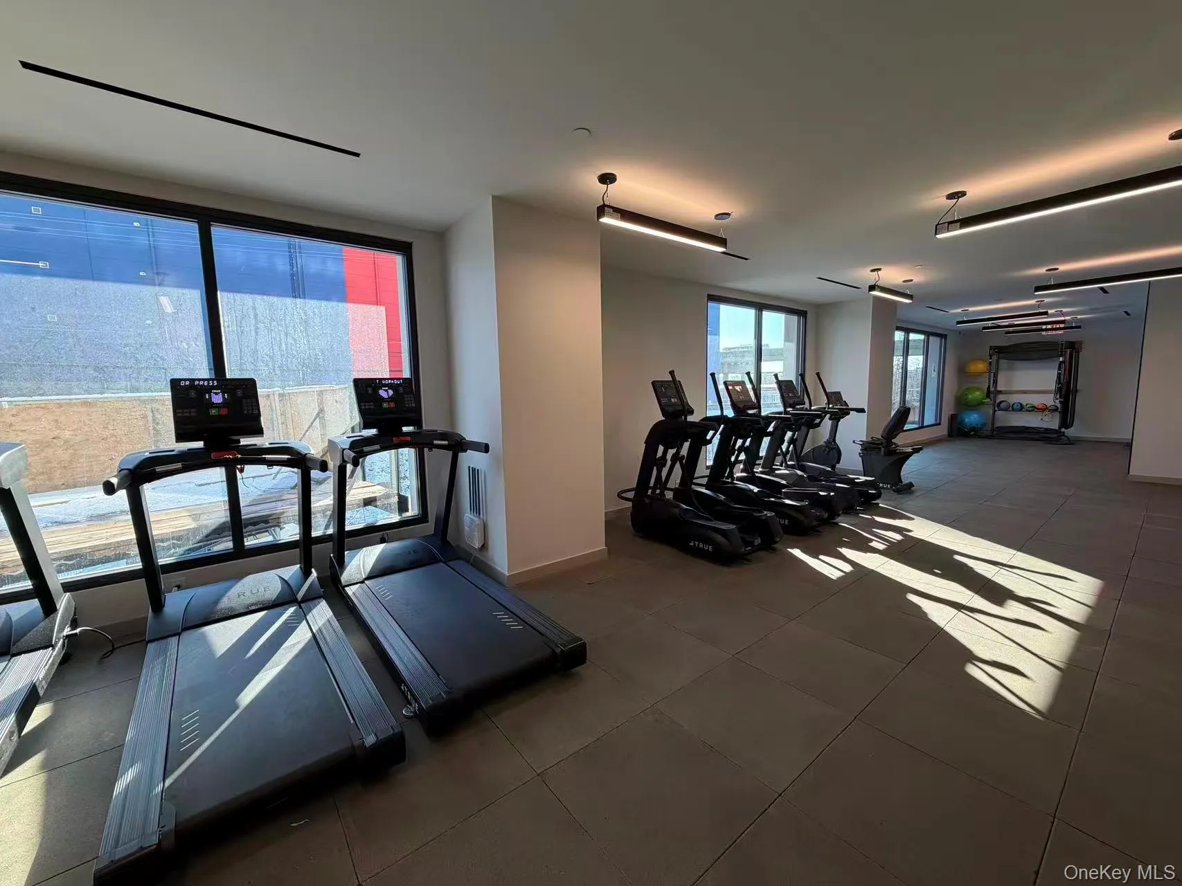 View of workout area View of workout area