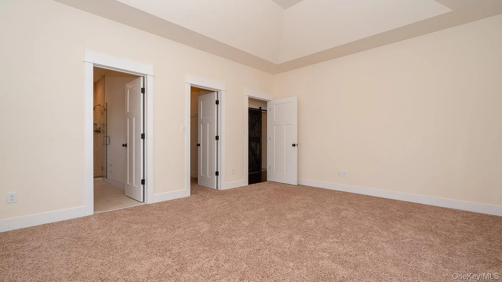 Unfurnished bedroom with a spacious closet, light carpet, and connected bathroom Unfurnished bedroom with a spacious closet, light carpet, and connected bathroom