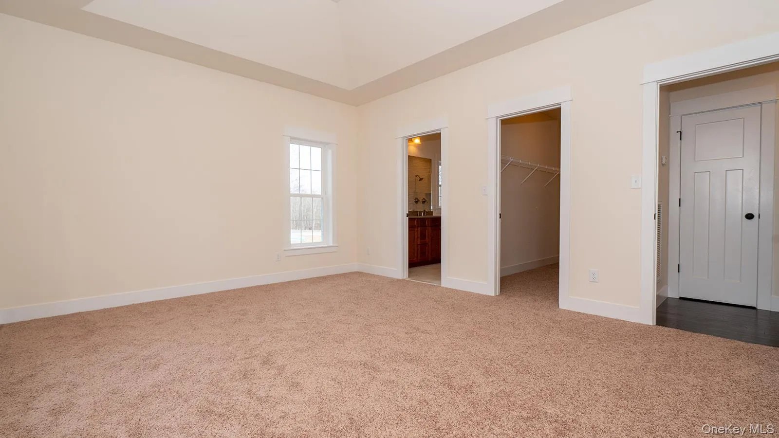 Unfurnished bedroom featuring carpet flooring, a walk in closet, and connected bathroom Unfurnished bedroom featuring carpet flooring, a walk in closet, and connected bathroom