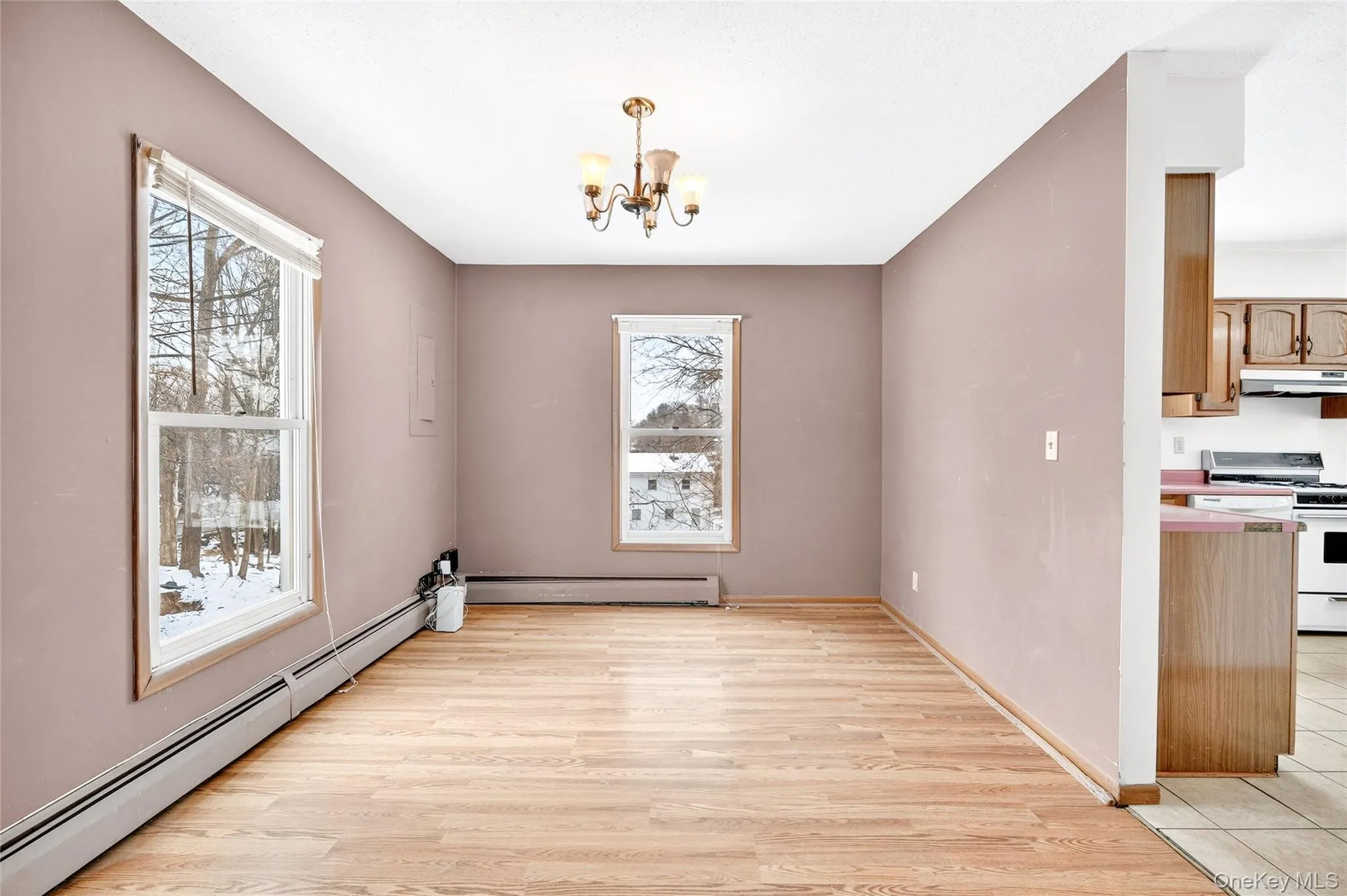 dining area featuring a baseboard radiator, a chandelier, and light wood-style flooring dining area featuring a baseboard radiator, a chandelier, and light wood-style flooring