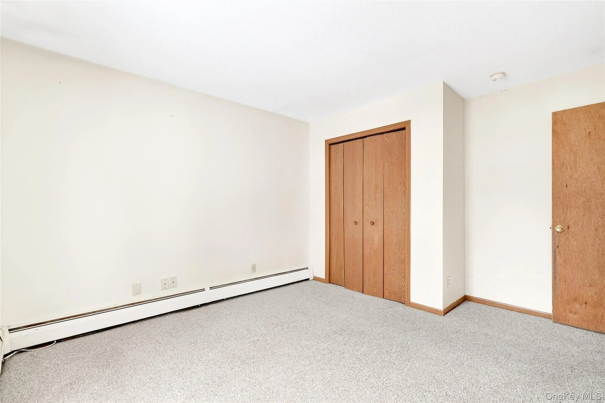 bedroom with a baseboard radiator, carpet, and a closet bedroom with a baseboard radiator, carpet, and a closet