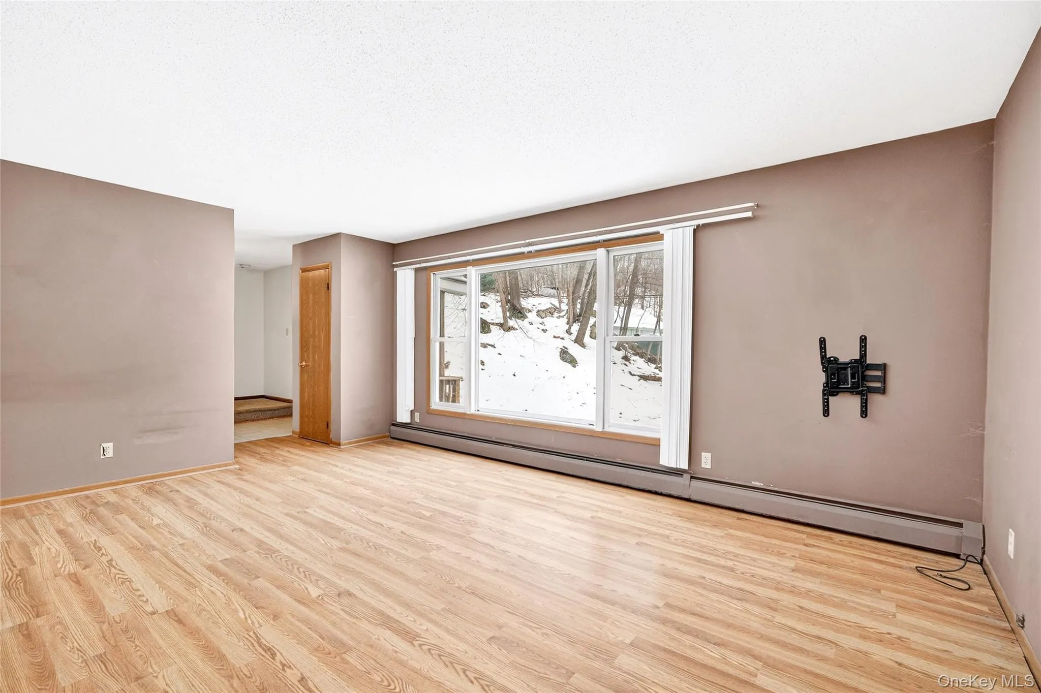 Spare room with a baseboard radiator, light wood finished floors, and a textured ceiling Spare room with a baseboard radiator, light wood finished floors, and a textured ceiling