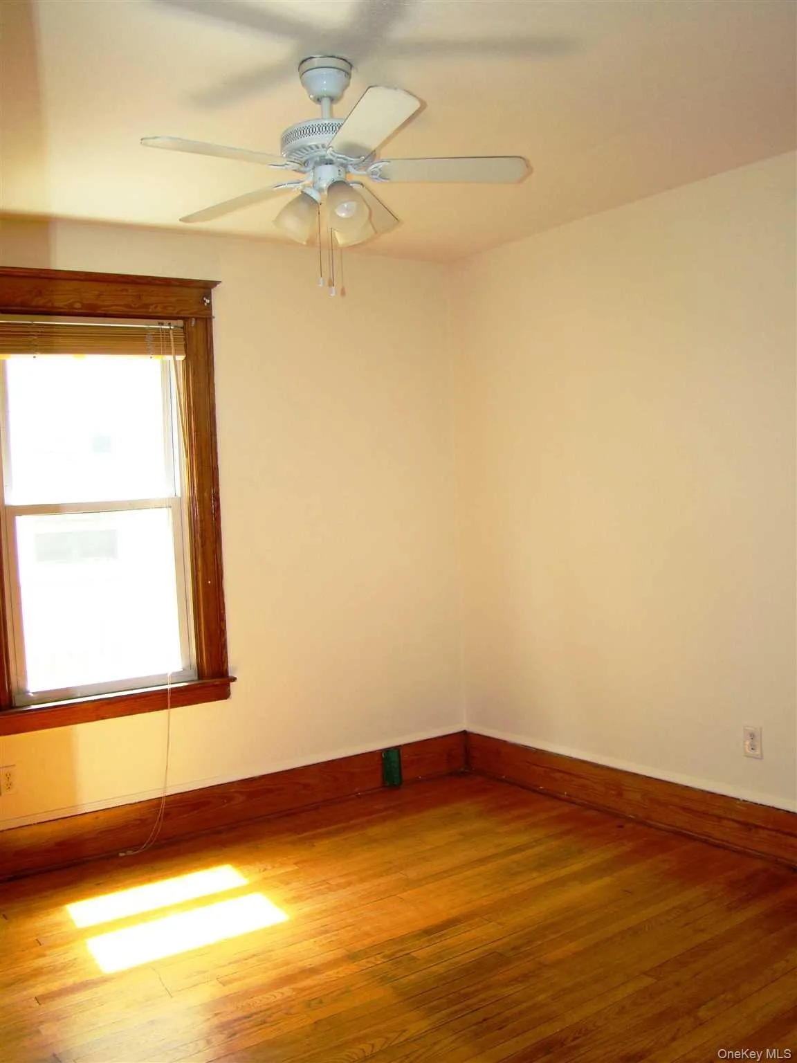 2 Worrall Avenue, Poughkeepsie, NY, 2 Bedrooms Bedrooms, 5 Rooms Rooms,1 BathroomBathrooms,Residential Lease,Idx,Worrall,0,945039 2 Worrall Avenue, Poughkeepsie, NY, 2 Bedrooms Bedrooms, 5 Rooms Rooms,1 BathroomBathrooms,Residential Lease,Idx,Worrall,0,945039