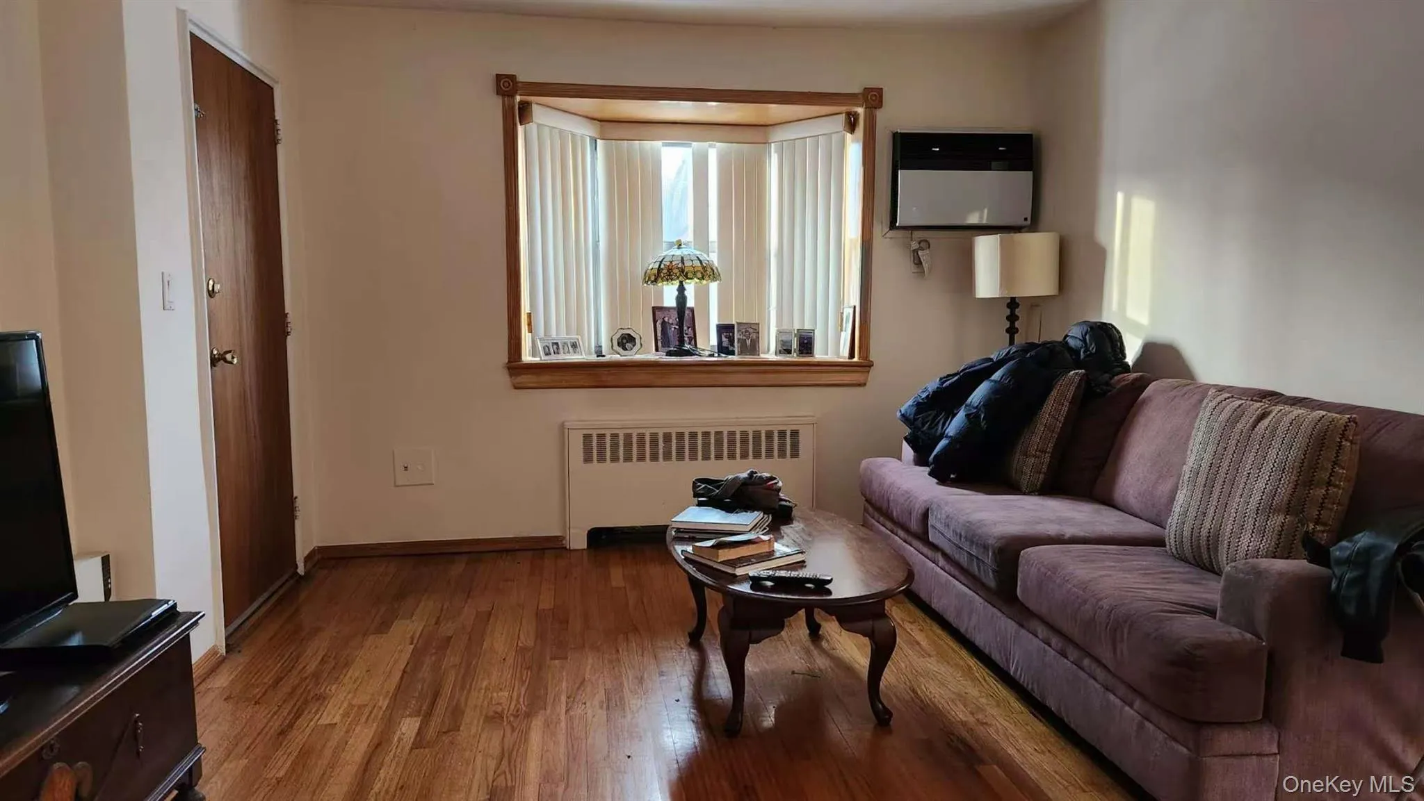 Living room featuring radiator and wood finished floors Living room featuring radiator and wood finished floors