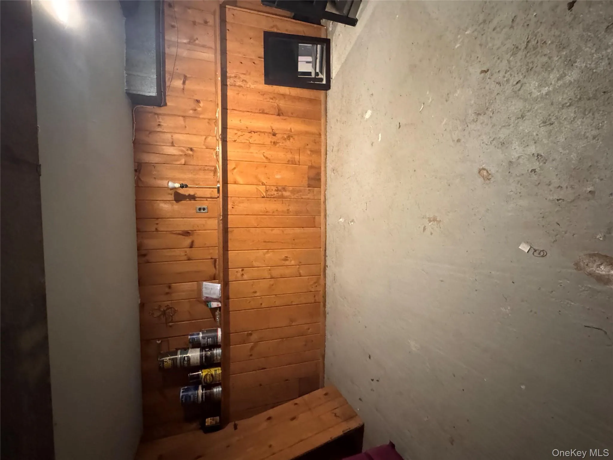 Below grade area featuring wooden walls Below grade area featuring wooden walls