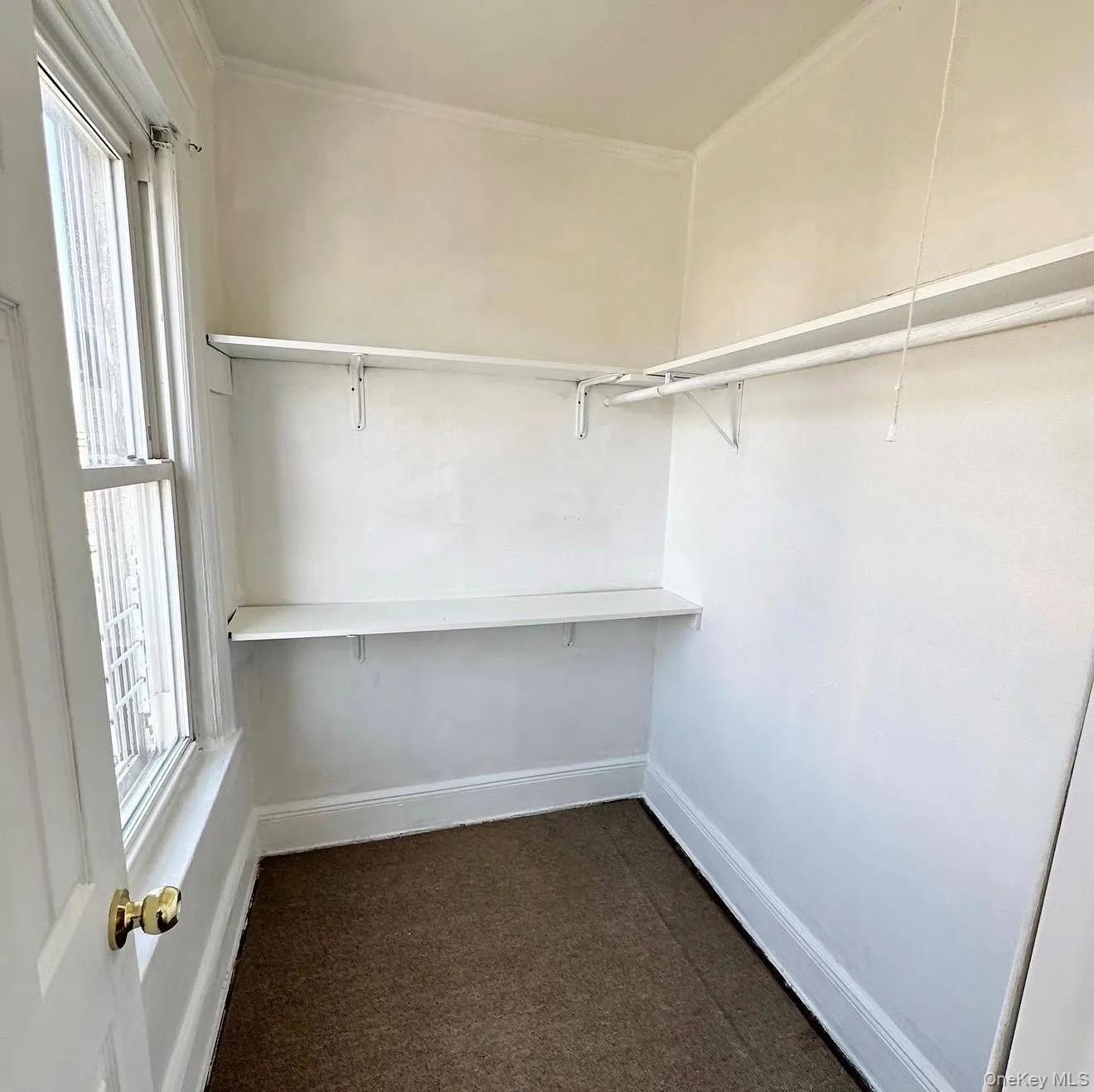 Walk in closet featuring dark colored carpet Walk in closet featuring dark colored carpet