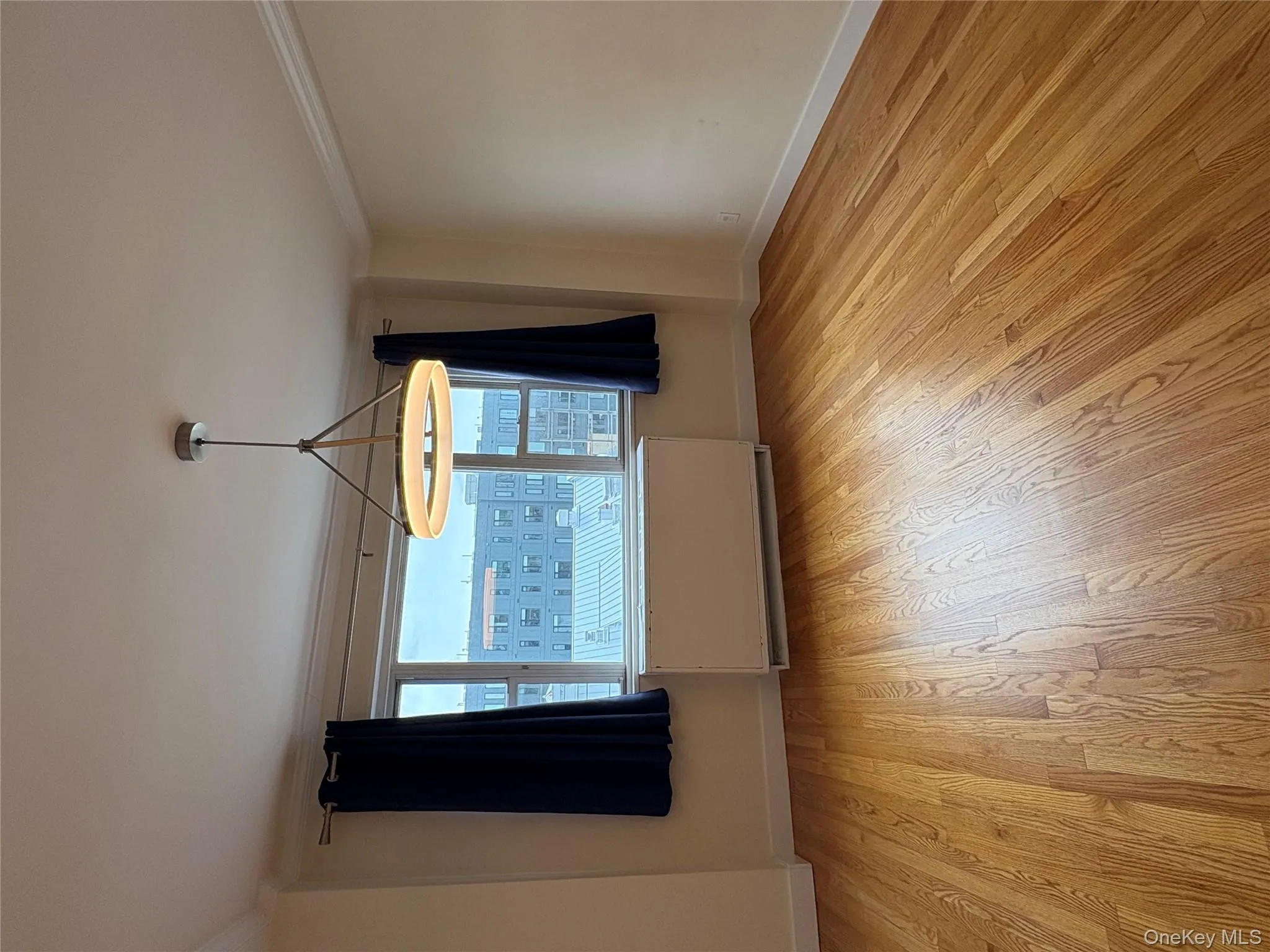 Unfurnished room featuring radiator, crown molding, light wood-type flooring, and plenty of natural light Unfurnished room featuring radiator, crown molding, light wood-type flooring, and plenty of natural light