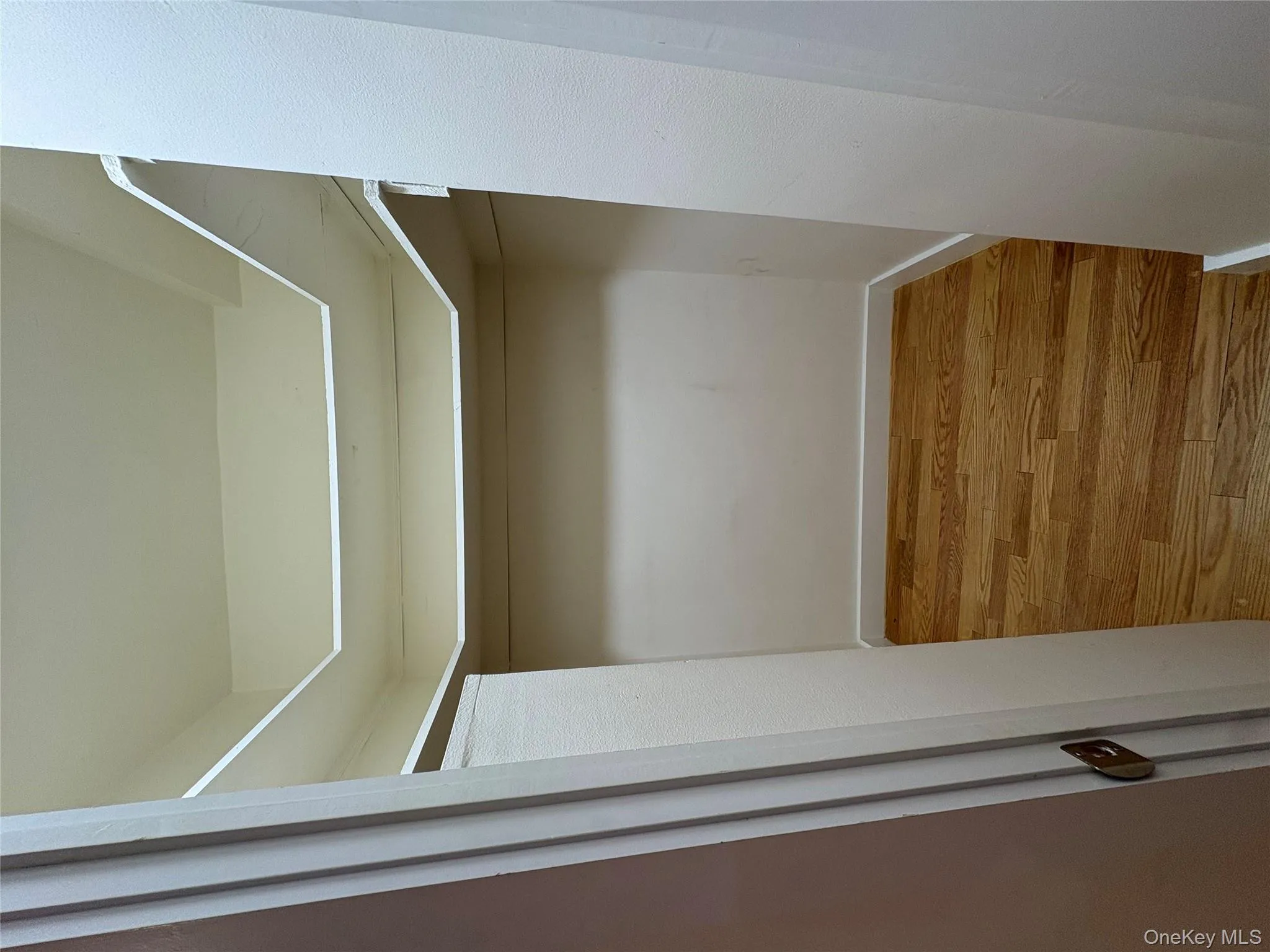 Walk in closet with light wood-style flooring Walk in closet with light wood-style flooring