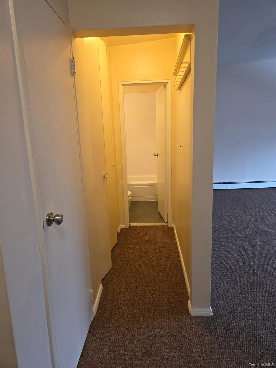 HALLWAY WITH LARGE CLOSET/STORAGE SPACE HALLWAY WITH LARGE CLOSET/STORAGE SPACE