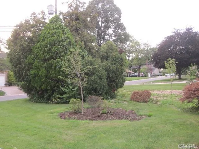 View of green lawn View of green lawn