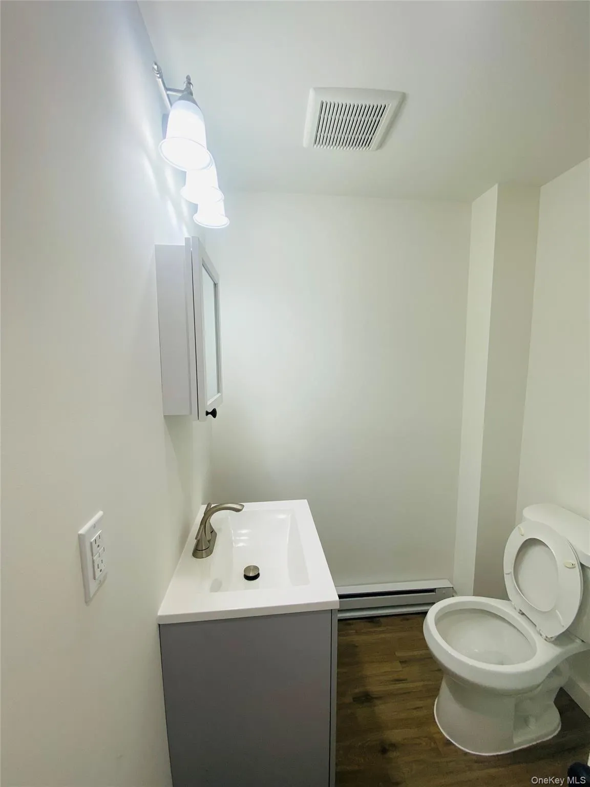 Bathroom featuring vanity, a baseboard radiator, and dark wood-style floors Bathroom featuring vanity, a baseboard radiator, and dark wood-style floors
