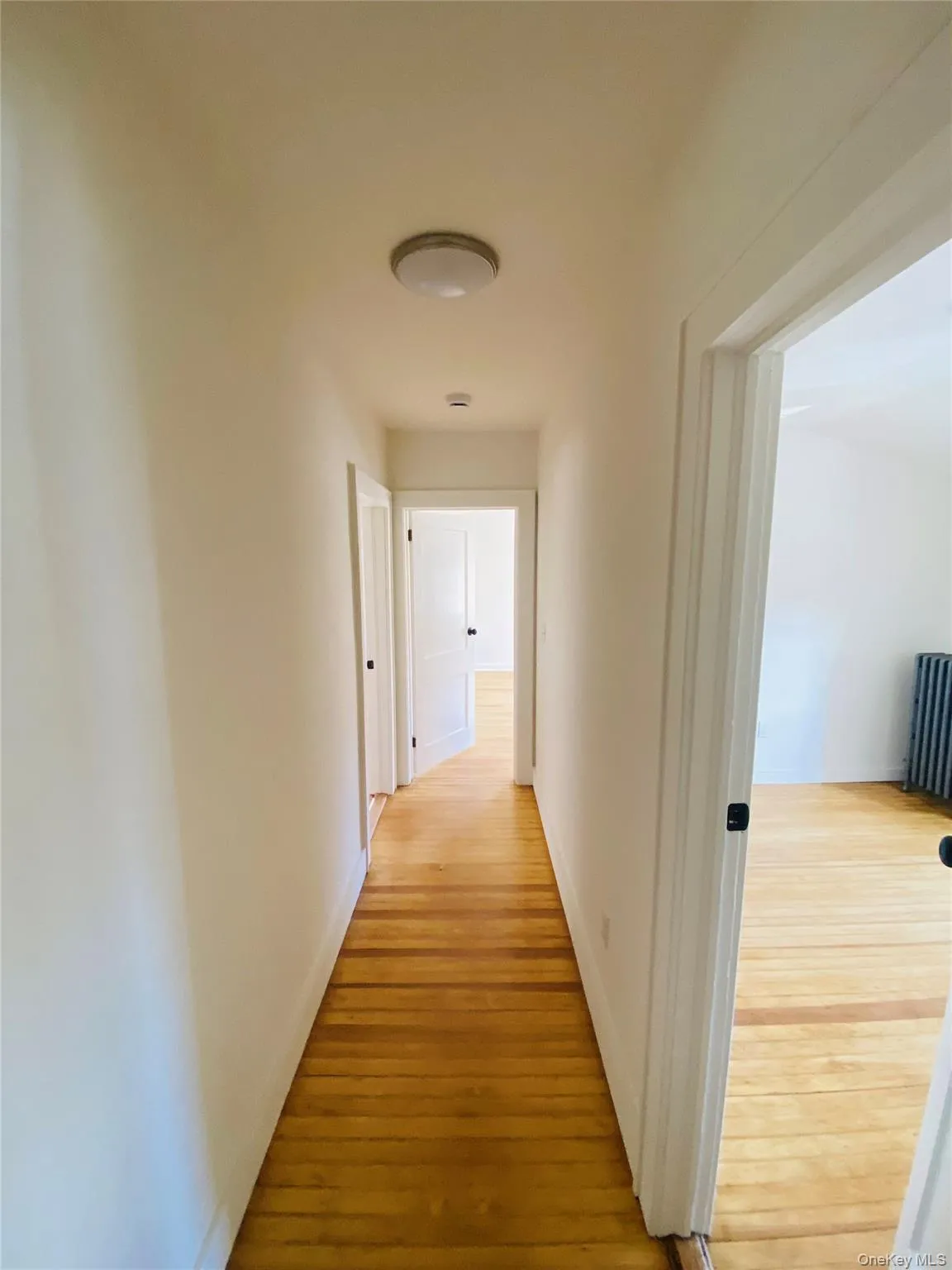 Corridor featuring light wood-style floors and radiator Corridor featuring light wood-style floors and radiator