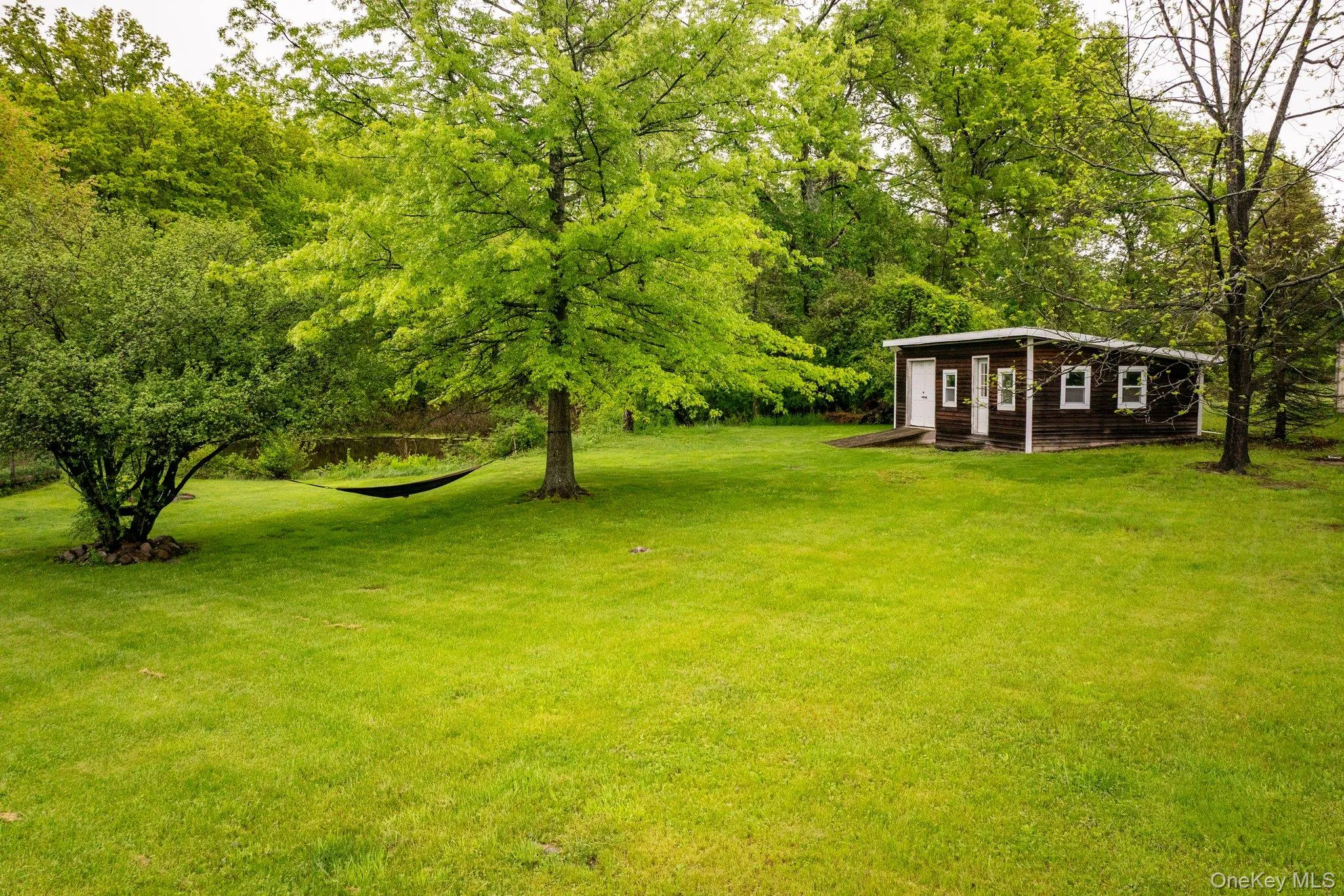 View of green lawn View of green lawn