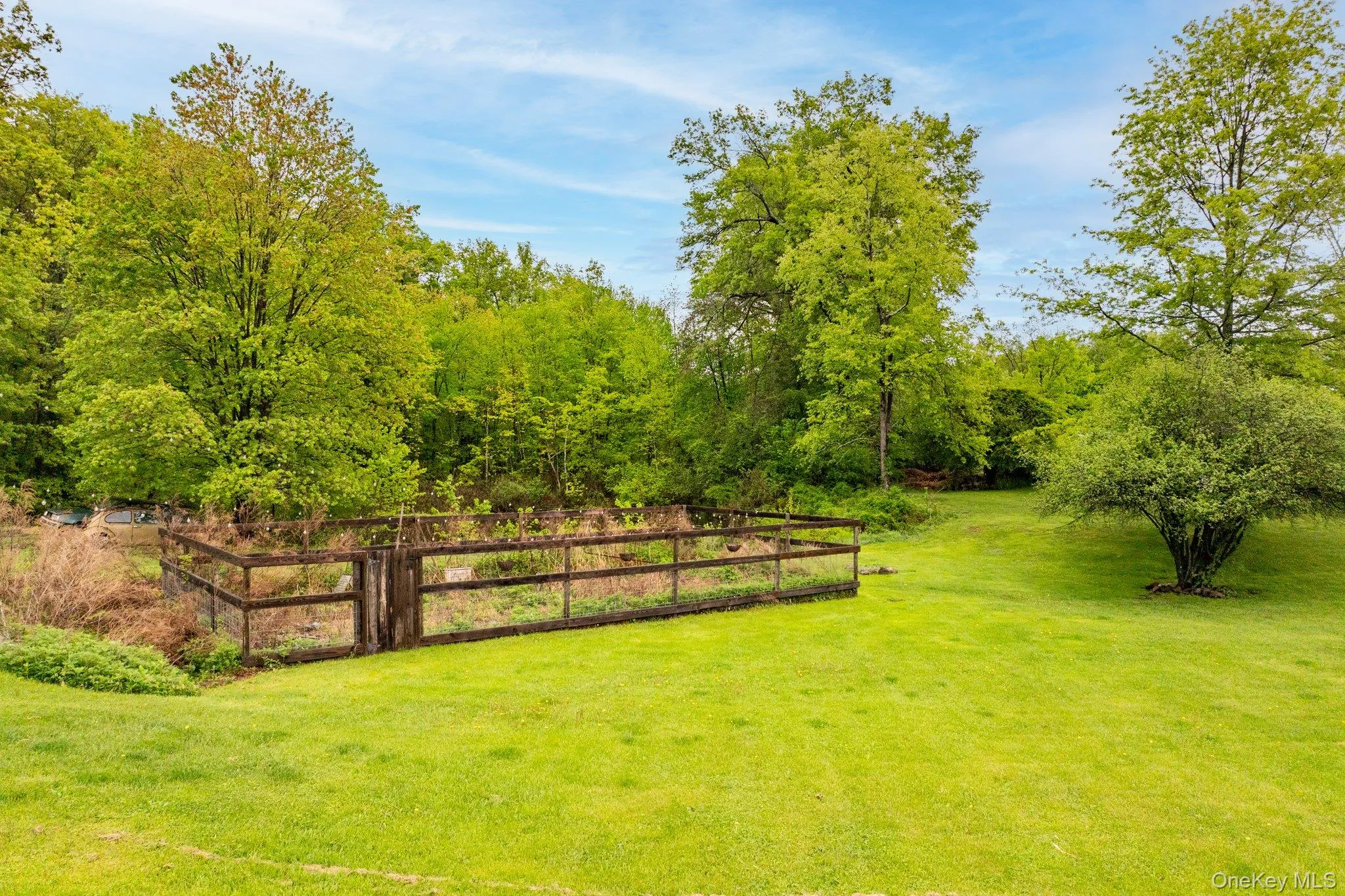 View of yard View of yard