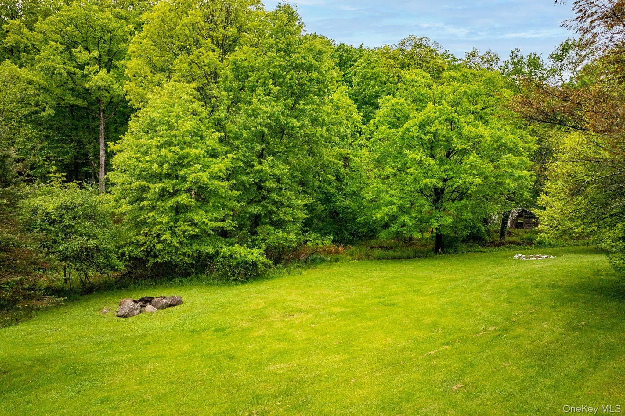 View of green lawn with a view of trees View of green lawn with a view of trees