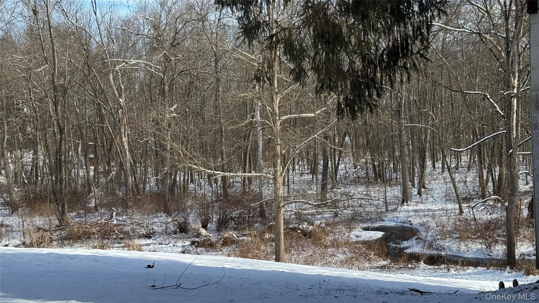 Snowy view featuring a view of trees Snowy view featuring a view of trees