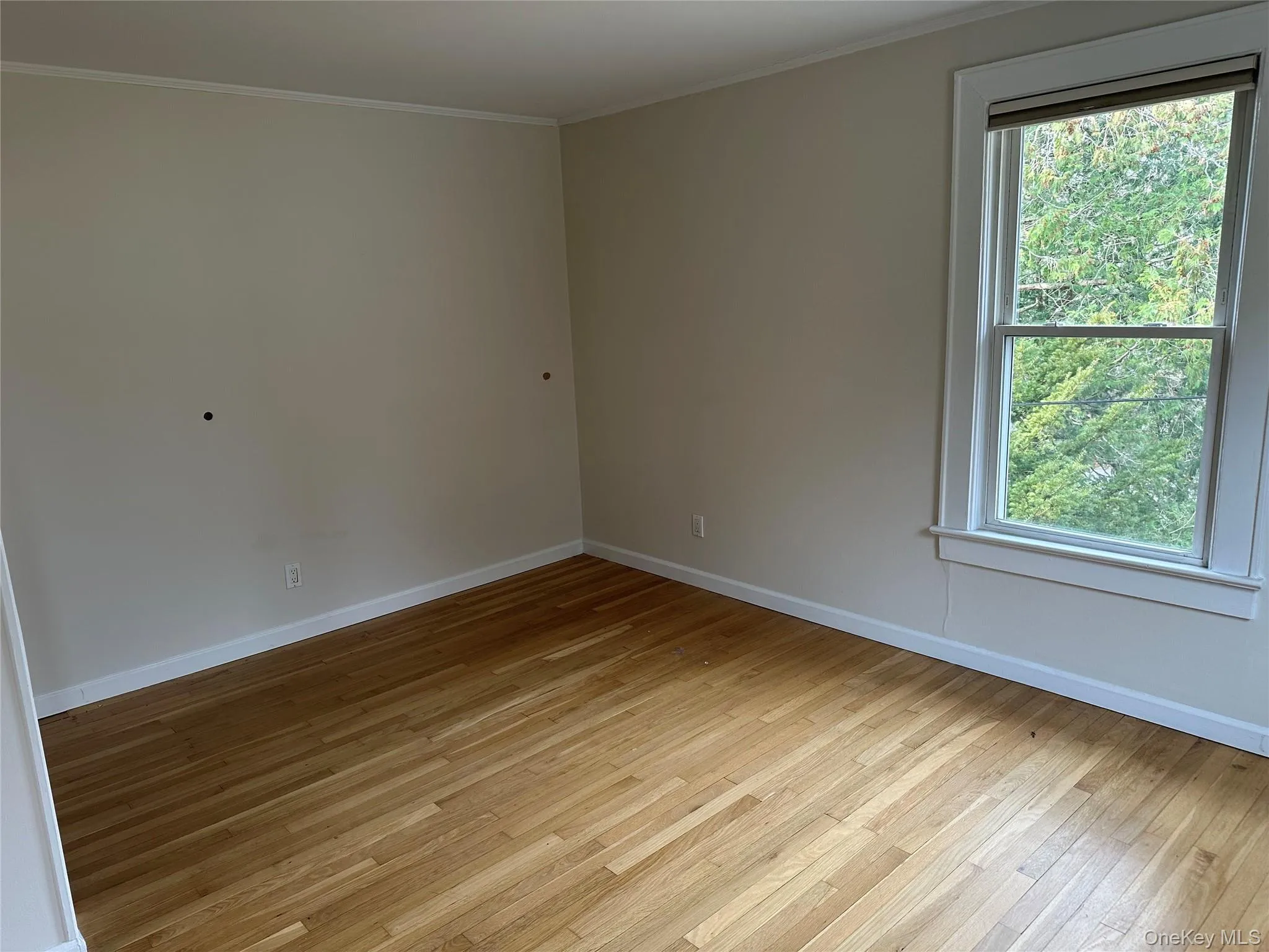 Unfurnished room with light wood-style floors and ornamental molding Unfurnished room with light wood-style floors and ornamental molding