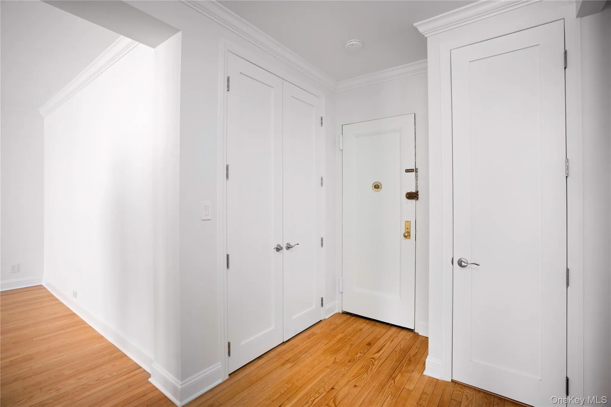 Hall featuring light wood finished floors and ornamental molding Hall featuring light wood finished floors and ornamental molding